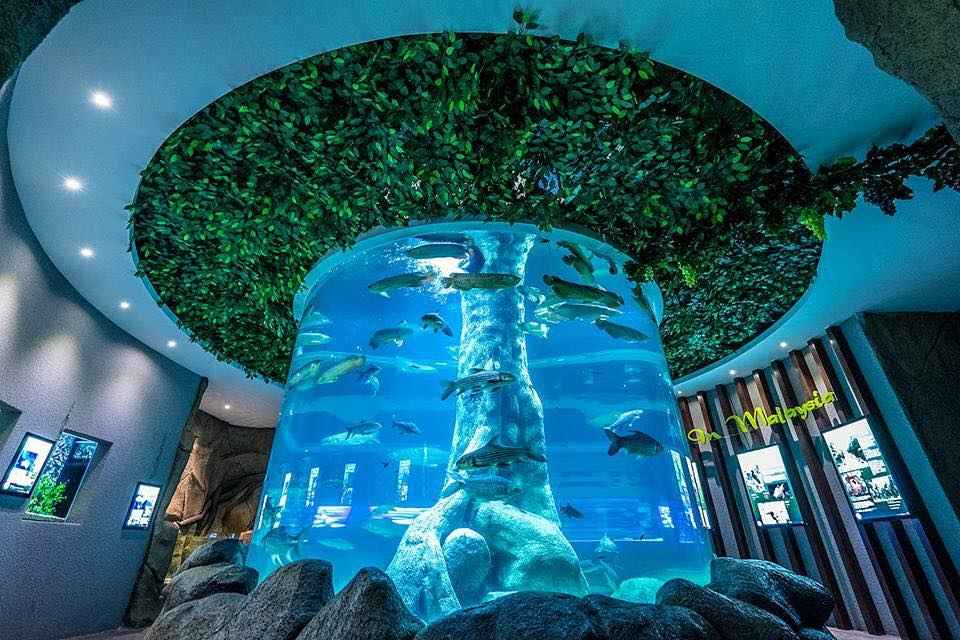 The Shore Ocenarium Melaka aquarium