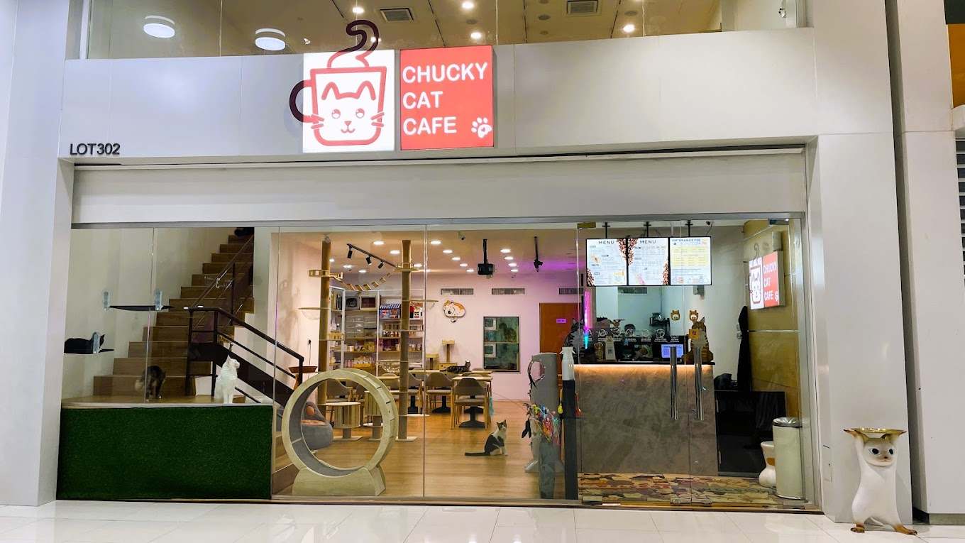 Chucky Cat Cafe (Komtar JBCC) pet cafe JB