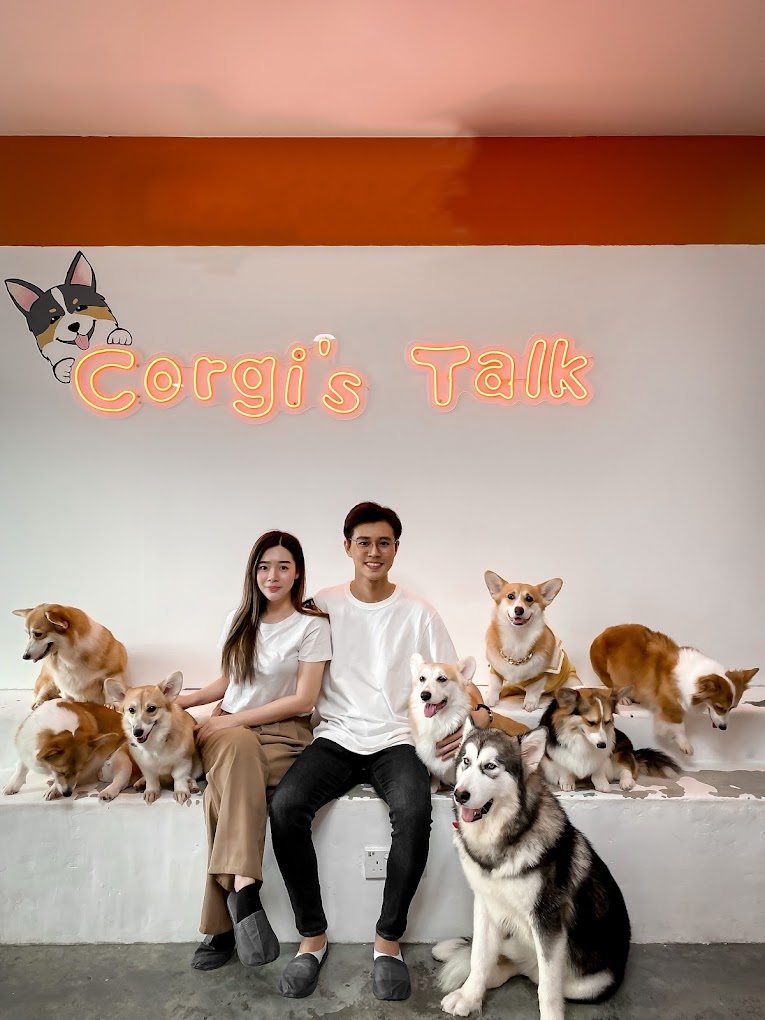 Corgi's Talk Cafe pets
