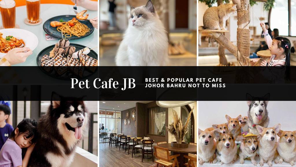Pet Cafe JB Best & Popular Pet Cafe Johor Bahru Not To Miss